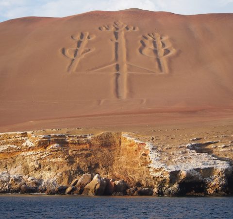 Paracas